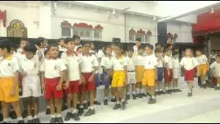 Campion School : The Making Of The Triumph