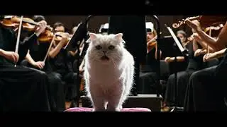 A singing Cat