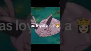 the Eevee evolution 🩵🩷💙💚💜💛🖤🧡🤎