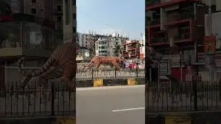 Famous Khulna city. #shorts
