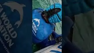 Rescuers tackle dolphin calf tangled in fishing line