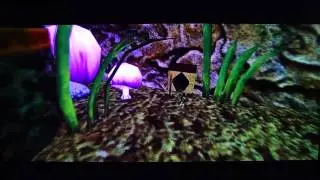 DSP Experiences Bugged Saving Mechanics