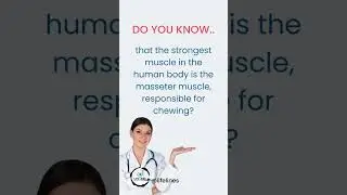 most strongest muscle in human body? #lifelines #facts # #health