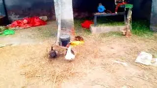 village life Pakistan | village life in Punjab | agriculture | animals | nature | @Rmi45