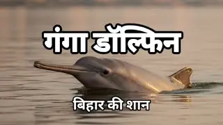 गंगा डॉल्फिन &ndash; भारत का राष्ट्रीय जलीय जीव | National Aquatic Animal | Ganga Dolphin Facts in Hindi 