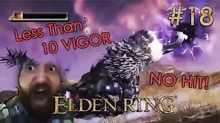 THE FALLINGSTAR BEASTS HITLESS, 10 VIGOR! - ELDEN RING LET'S PLAY #18