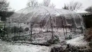 Strawberry Dome Collapse: Helioforge