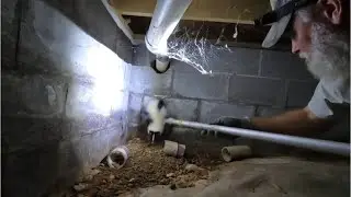 The Skunk Animal Control Couldn't Catch | Full Removal