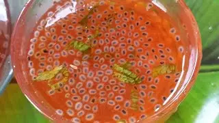 Muharram Special Nimbu Sharbat with Sabja Seeds | Thandak Wala Summer Drink | Easy Healthy Recipe