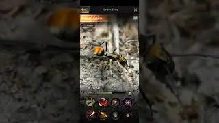 The Ants: BEST POSITIONING For Special Ants