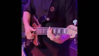 Bass line in Alex Base song - 