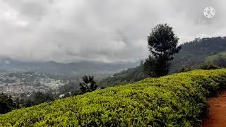 ATTADI COONOOR GLASS ROCKWAY