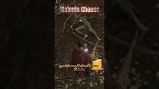 Malenia Cheese! #eldenring #malenia #cheese #strategy #guide #shorts #fyp #eldenringboss #tips