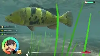 Reel Fishing: Days of Summer_20260113..That Lake Trout was elusive today