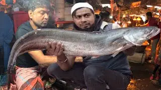 Amazing Fish In Bangladesh | Giant Wallago Attu Boal Fish Big Bowl Fish Cutting Skill ! Fish cutting