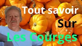 La COURGE : le légume miracle que tout le monde devrait cultiver et cuisiner !