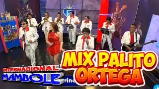 MAMBOLE - MIX PALITO ORTEGA