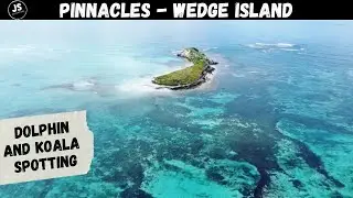 Caravanning Australia: Pinnacles Desert Discovery, Dolphins at Wedge Island and Koalas in Yanchep!