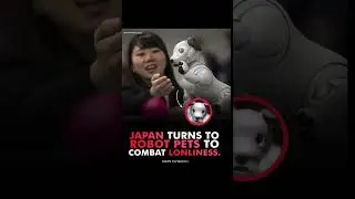 Japan Turns to Robot Pets to combat loneliness