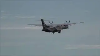 Air New Zealand , NZM 5008 Birdstrike