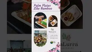 Elevate Your Dining Experience with Eco-Friendly Palm Leaf Plates Like Bamboo!