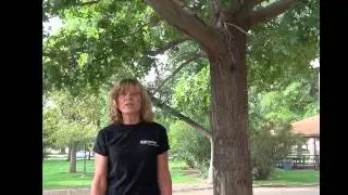 36 ShirleyNelson ShumardOak