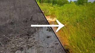 Save Your Stream! Introducing the Streambank Mix