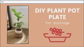 DIY Plant Pot Plate For Water Drainage | #shorts