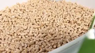 Emilypets Wood Cat Litter | Natural, Clean & Eco-Friendly 🐾