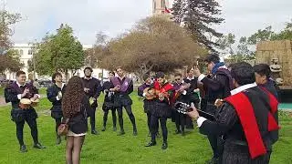 Petición de matrimonio a mi novia con serenata al estilo Tuna ❤️🎵🎶