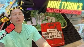 Mike Tyson's Tiger Piss Strain Packs A Punch | Bangkok VLOG |