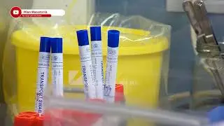 MSH: 101 RASTE T&Euml; REJA, 4 VIKTIMA, 10 T&Euml; SH&Euml;RUAR