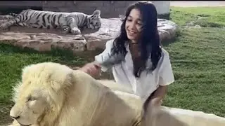 سدين مع الاسد في حديقة الحيوانات 😂👌🏻
