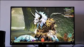 Guild Wars 2  Graphics Settings 60FPS