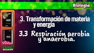 Biolog&iacute;a - Respiraci&oacute;n aerobia y anaerobia - IkniuM Media Superior