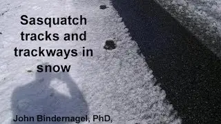 Sasquatch Trackways