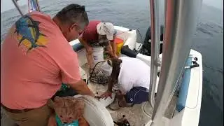 Still day 1 of the Flounder Pounder open,as we try to catch that big flounder 2023
