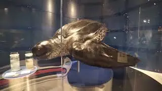The Canadian Museum of Nature | ROOMSERVICE