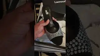Larroude Haul 2025