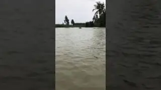 Que e Mua nc lut