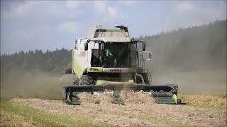 Dvoufázová sklizeň sladovnického ječmene září 2021