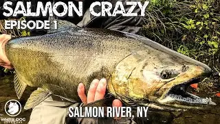 Salmon Crazy - Episode 1 - Salmon River, NY