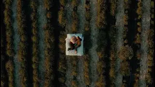 Lavender by Kim Harris Music Video