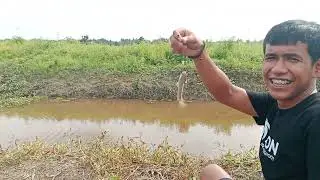 ikan nya bermacam macam jenis mancing nya seru sekali hasilnya menyenang kan