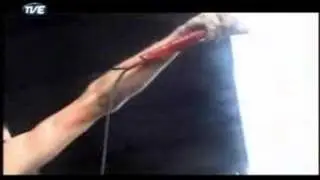 The Used feat. Pierre - The Taste Of Ink (Live Warped Tour)