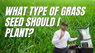 Inside the Bag: The Best Seed for Your Lawn
