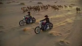 Charge the Night in Texas Heat: Biker Rock and Whiskey Blues Echo