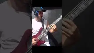 baixista banda lord vinil, Átila zoni