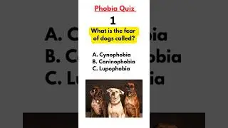 Can You Guess the Phobia Name? | Fun Fear Quiz! Part-3