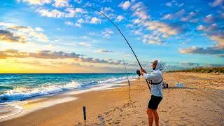 Surf Fishing is HEATING UP - NC Surf Fishing